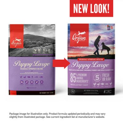 Image showing  Puppy Large Breed Dry Dog Food
