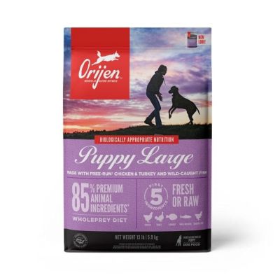 Image showing  Puppy Large Breed Dry Dog Food