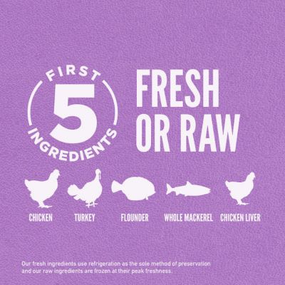 Image showing 7 th ORIJEN Puppy Large Breed Dry Dog Food