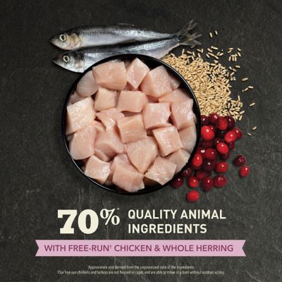 Image showing  First Feast Kitten Free-Run Chicken and Whole Herring Dry Cat Food
