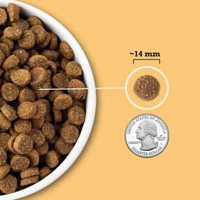 Image showing 6 th ACANA Wholesome Grains All Life Stages Free-Run Poultry and Grains Recipe Dry Dog Food