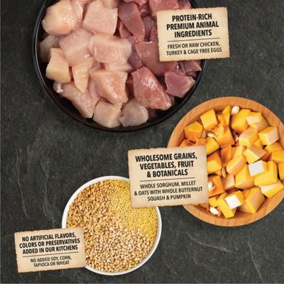 Image showing 7 th ACANA Wholesome Grains All Life Stages Free-Run Poultry and Grains Recipe Dry Dog Food