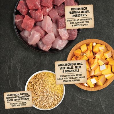 Image showing  Wholesome Grains All Life Stages Red Meat and Grains Recipe Dry Dog Food
