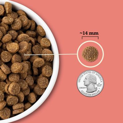 Image showing  Wholesome Grains All Life Stages Red Meat and Grains Recipe Dry Dog Food