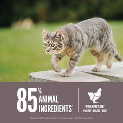 Image showing  Fit & Trim Dry Cat Food, 4 lb.