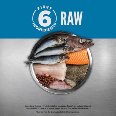 Image showing 5 th ORIJEN Grain Free Six Fish Dry Cat Food