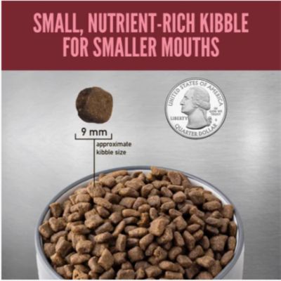 Image showing  Small Breed All Life Stages Turkey, Chicken and Fish Recipe Dry Dog Food