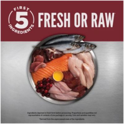 Image showing  Small Breed All Life Stages Turkey, Chicken and Fish Recipe Dry Dog Food