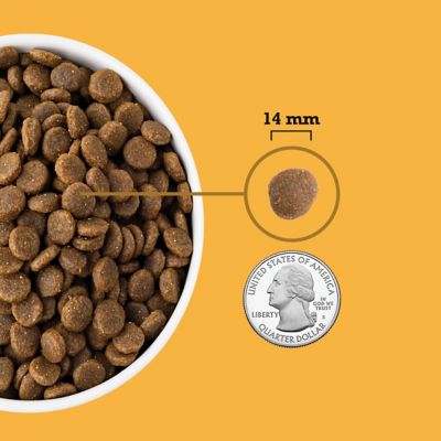 Image showing  All Life Stages Free-Run Poultry Recipe Dry Dog Food