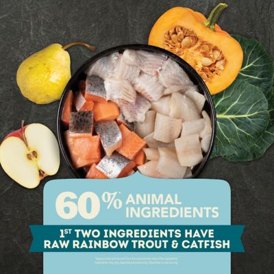 Image showing  All Life Stages Freshwater Fish Blend Recipe Dry Dog Food