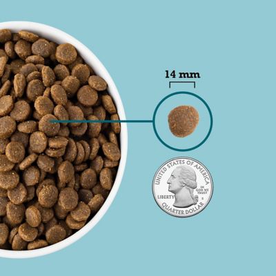 Image showing  All Life Stages Freshwater Fish Blend Recipe Dry Dog Food