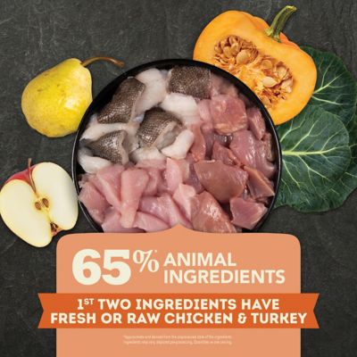 Image showing  Puppy Chicken Recipe Dry Dog Food