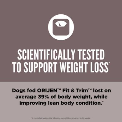 Image showing  Fit & Trim High Protein Recipe Dry Dog Food