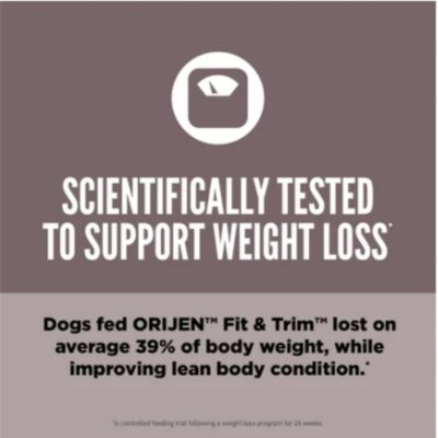 Image showing  Fit and Trim Adult Chicken, Turkey and Wild-Caught Fish Recipe Dry Dog Food