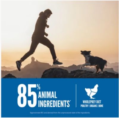 Image showing  Original All Life Stages Chicken, Turkey and Wild-Caught Fish Recipe Dry Dog Food