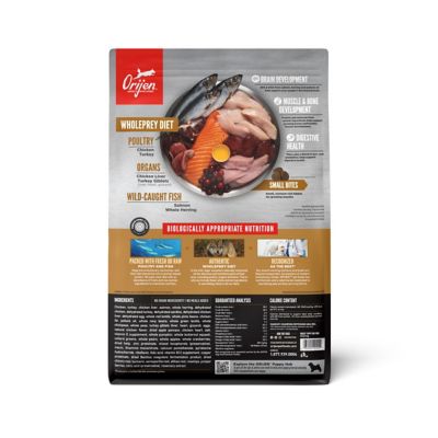 Image showing  Puppy High Protein Recipe Dry Dog Food