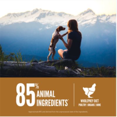 Image showing  Puppy High Protein Recipe Dry Dog Food