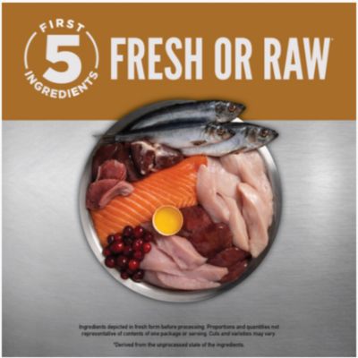Image showing  Puppy High Protein Recipe Dry Dog Food