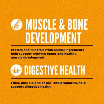 Image showing  Puppy High Protein Recipe Dry Dog Food