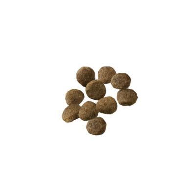 Image showing  Puppy Sensitive Skin and Stomach Lamb and Oat Meal Formula Dry Dog Food