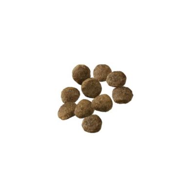 Image showing  Sensitive Skin & Stomach Lamb & Oat Meal With Probiotics Sensitive Stomach Dry Puppy Food, 4 lb.