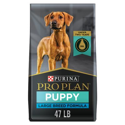 Purina Pro Plan Large Breed Dry Puppy Food, Chicken and Rice Formula