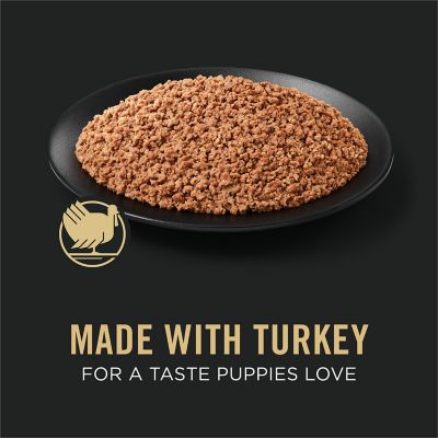 Image showing  Grain-Free Puppy Classic Turkey Entre Wet Dog Food, 13 oz.