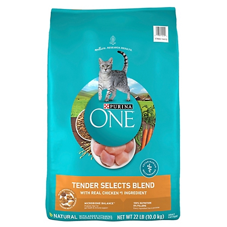 Purina ONE Natural Dry Cat Food, Tender Selects Blend With Real Chicken
