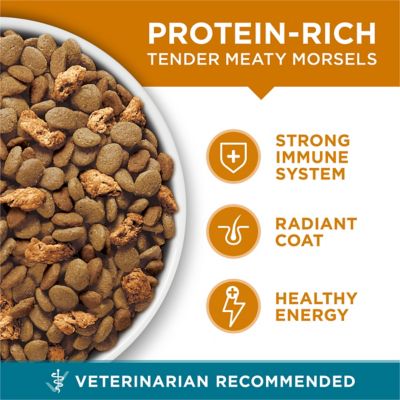 Image showing  Natural Adult Indoor/Outdoor Tender Selects Blend with Real Chicken Dry Cat Food