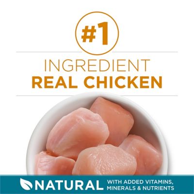 Image showing  Natural Adult Indoor/Outdoor Tender Selects Blend with Real Chicken Dry Cat Food