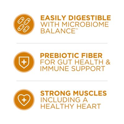 Image showing  Natural Adult Indoor/Outdoor Tender Selects Blend with Real Chicken Dry Cat Food