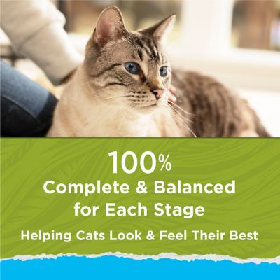 Image showing 6 th Purina Cat Chow Naturals Adult Indoor Hairball and Healthy Weight Chicken Recipe Dry Cat Food