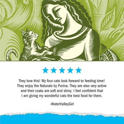 Image showing 8 th Purina Cat Chow Naturals Adult Indoor Hairball and Healthy Weight Chicken Recipe Dry Cat Food