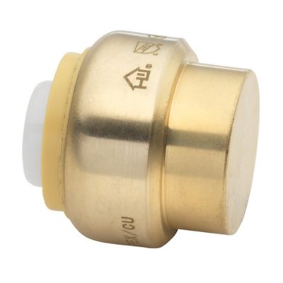 Image showing  3/4 in. Push-to-Connect End Stop