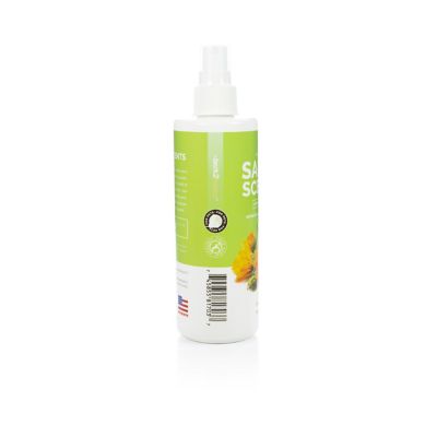Image showing  Salon Scents Fresh and Clean Scented Shampoo for Dogs, 8 oz.
