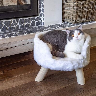 stylish cat bed