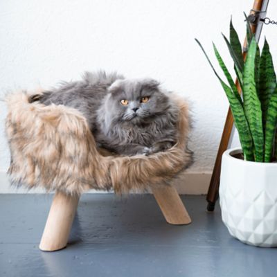 stylish cat bed