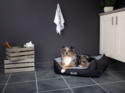 scruffs expedition box bed