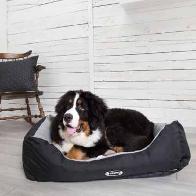 scruffs expedition box bed