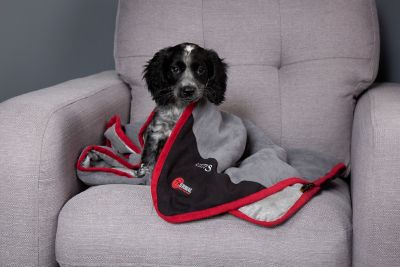 heat reflective blanket for dogs