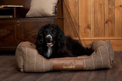 scruffs windsor dog bed