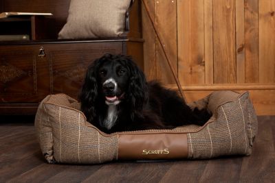 scruffs dog bed xl