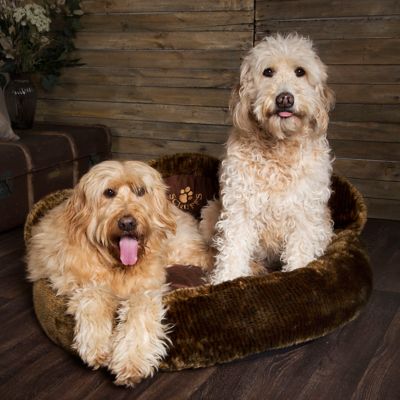 scruffs cub bear dog bed