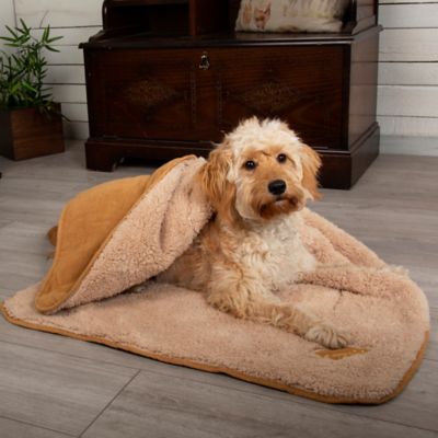 dog cuddle blanket