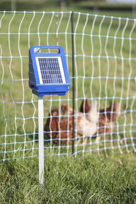 Image showing  164 ft. x 42 in. Standard Electric Poultry Netting Solar Kit