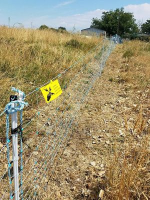 Image showing  164 ft. x 35 in. Multi-Purpose Sheep and Goat Electric Netting