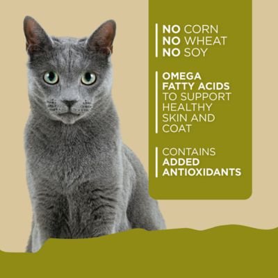 Image showing  Adult Chicken and Rice Recipe Wet Cat Food, 5.5 oz.