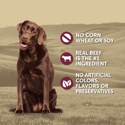 Image showing  Adult Beef and Rice Recipe Wet Dog Food, 13.2 oz.