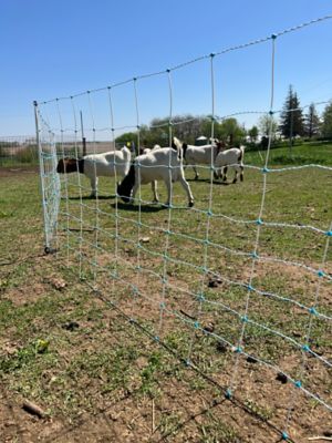 Image showing  82 ft. x 35 in. Multi-Purpose Sheep and Goat Electric Netting