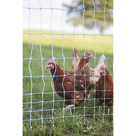 Electric Poultry Netting Fence: Worked Great for Us - No More
